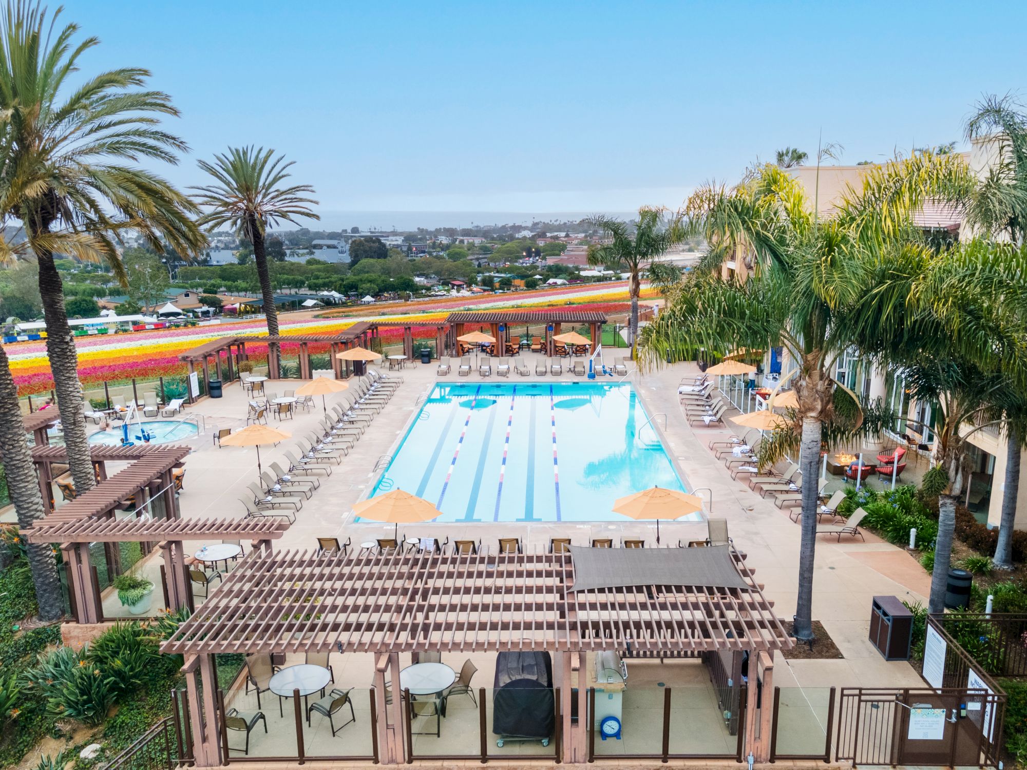 An outdoor hotel courtyard with a large swimming pool, lounge chairs, palm trees, colorful flower beds, and a distant sea view.
