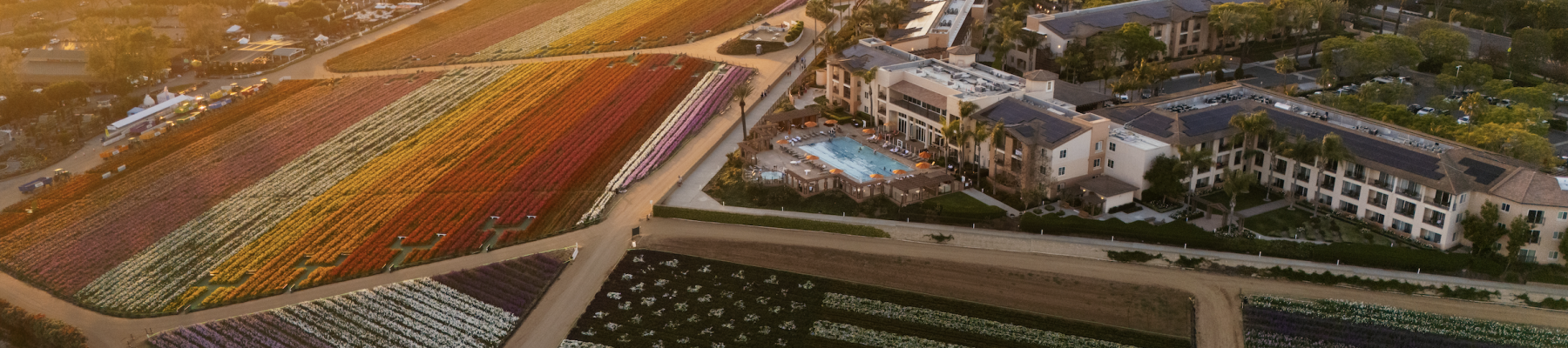 The Cassara Carlsbad